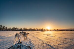 Balade hivernale en traîneau