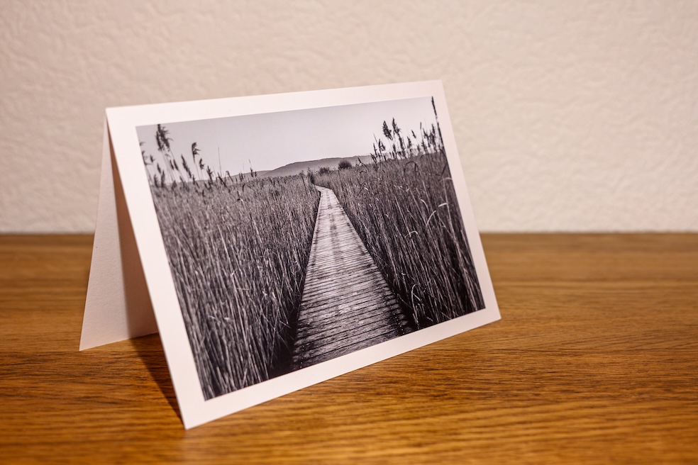 Sentier dans les roseaux – Image 2