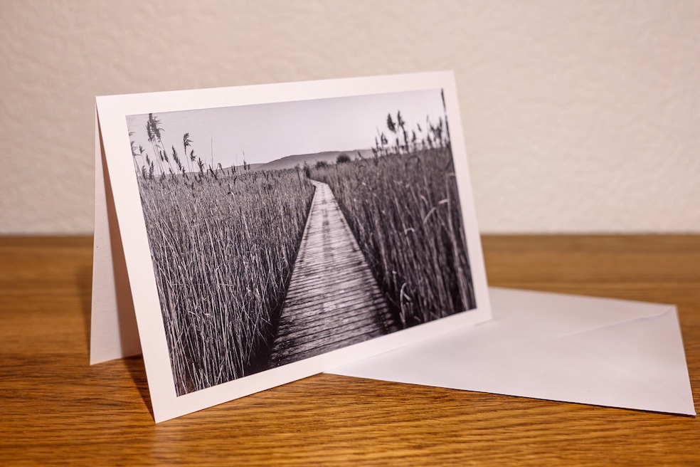 Sentier dans les roseaux – Image 3